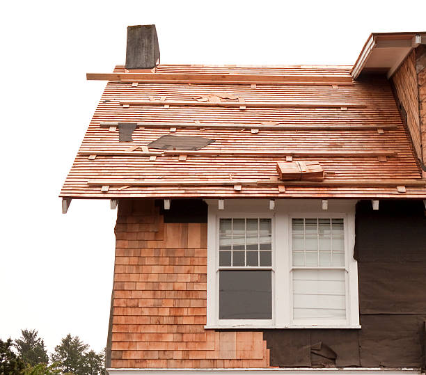 Affordable Siding Repair and Maintenance Services in Tremont, PA